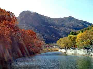 新澳天天开奖资料大全旅游团，雇佣军小说